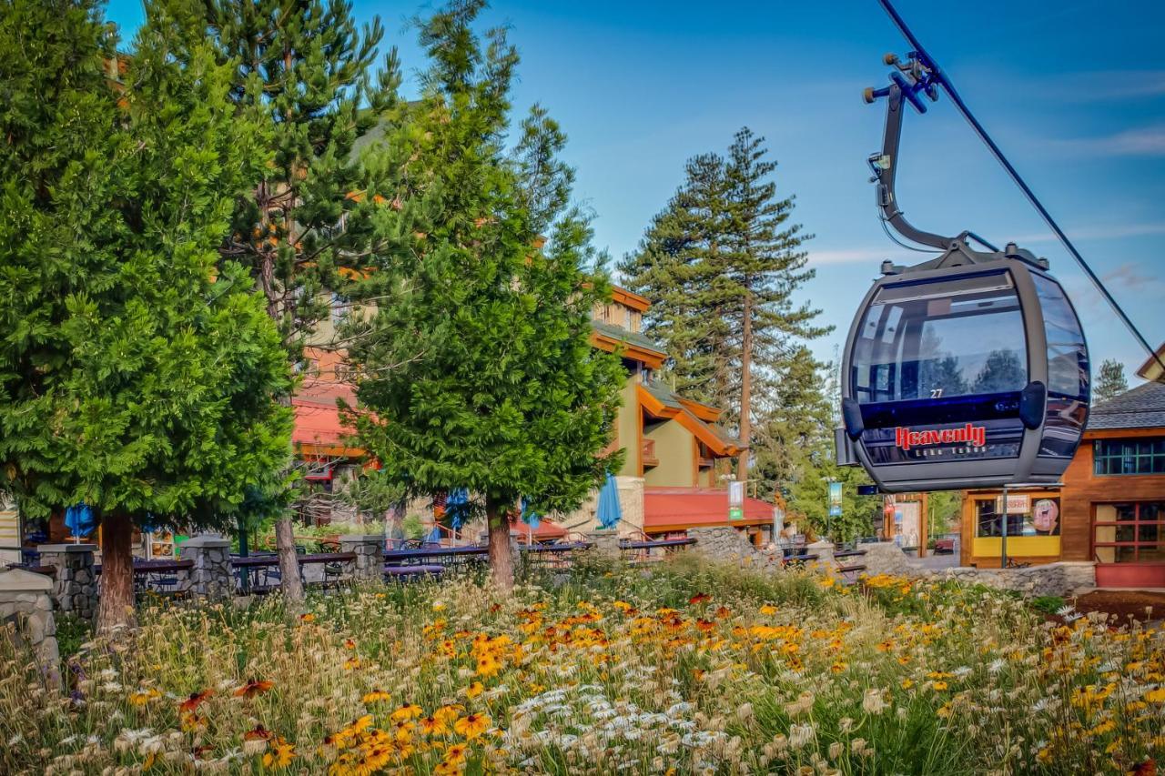 Cozy Cabin Retreat South Lake Tahoe Dış mekan fotoğraf